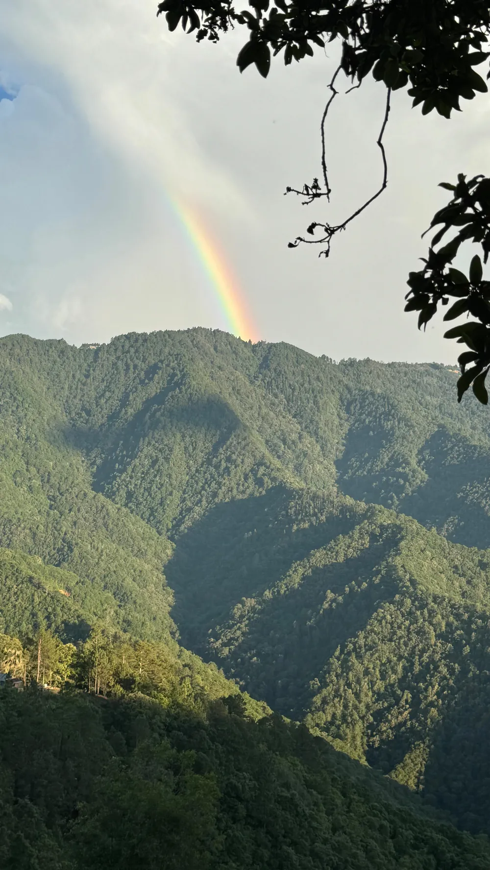 Arcoíris sobre la sierra verde, visto desde la Casa del Árbol.