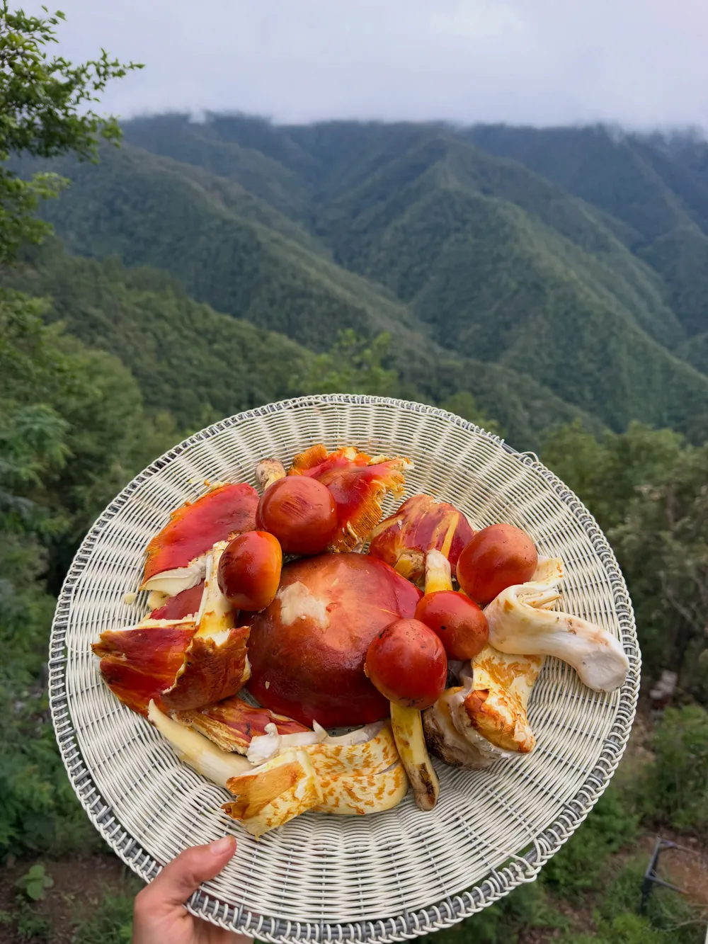 Plato de embellupes recién cocinados.