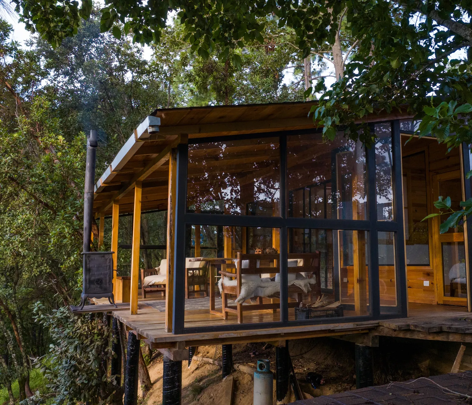Casa del Árbol: casa de cristal y madera sobre pilotes entre los pinos.