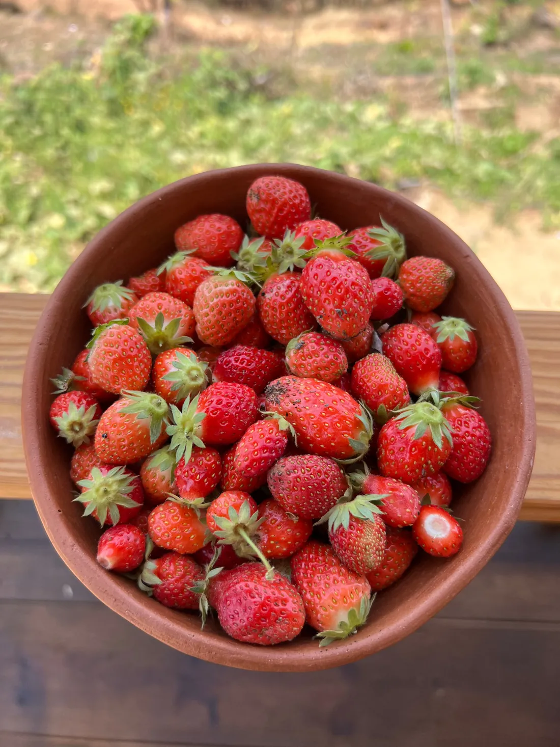 Un tazón de fresas recién cortadas.